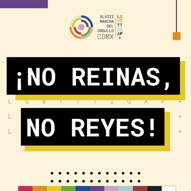 Poster-style graphic with the phrase '¡NO REINAS, NO REYES!' in large white letters on black rectangles with a yellow underline, and a color swatch bar below. A circular multicolor logo sits near the top.